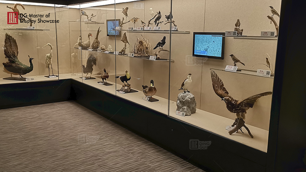 Projekt výstavy Národního biologického muzea v Macau 13