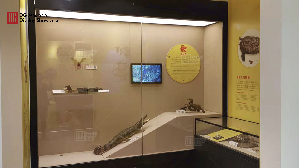 Projekt výstavy Národního biologického muzea v Macau 11