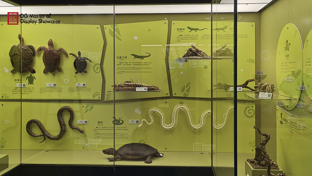 Projekt výstavy Národního biologického muzea v Macau 14