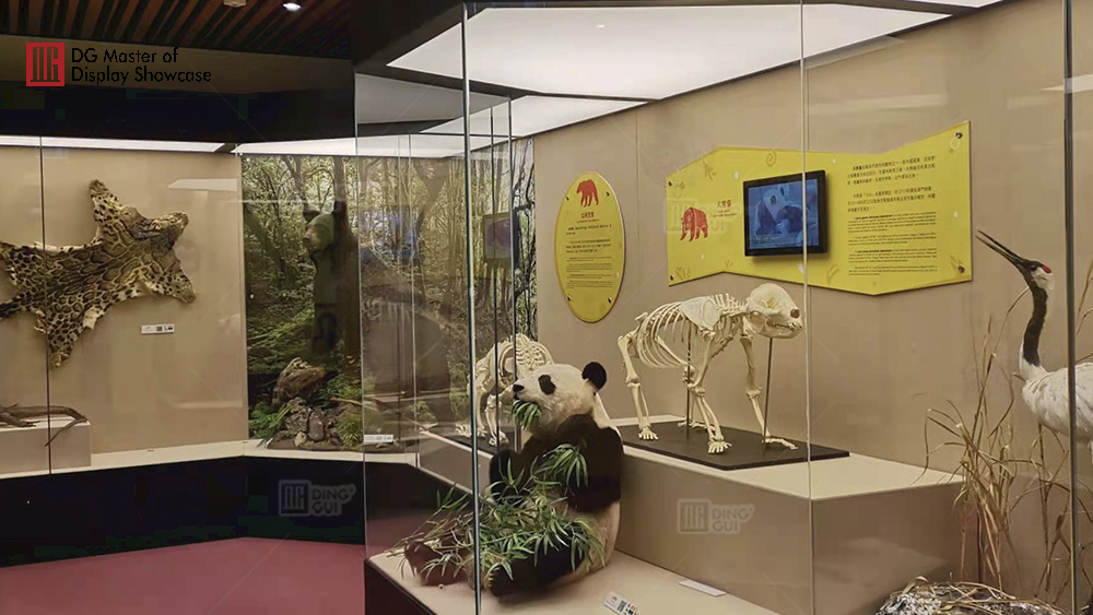 Projekt výstavy Národního biologického muzea v Macau 15