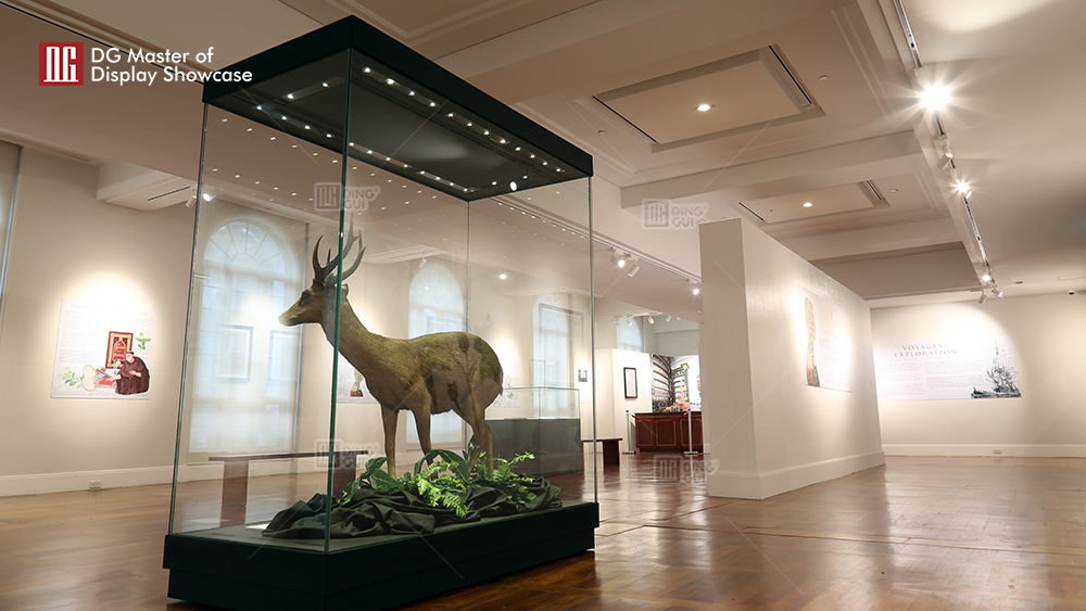 Philippine Museum of Natural History showcase project 11