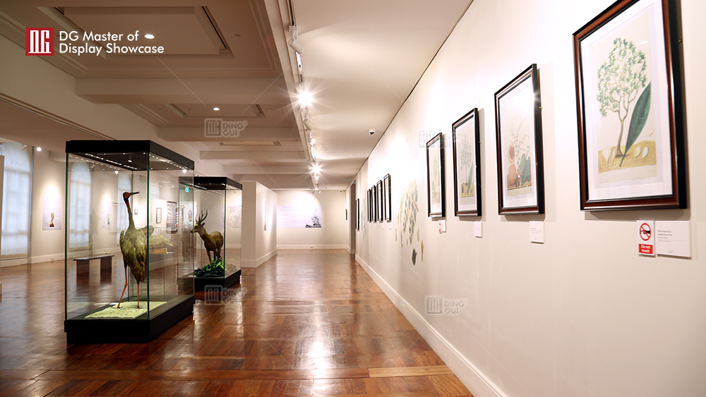 Philippine Museum of Natural History showcase project 12