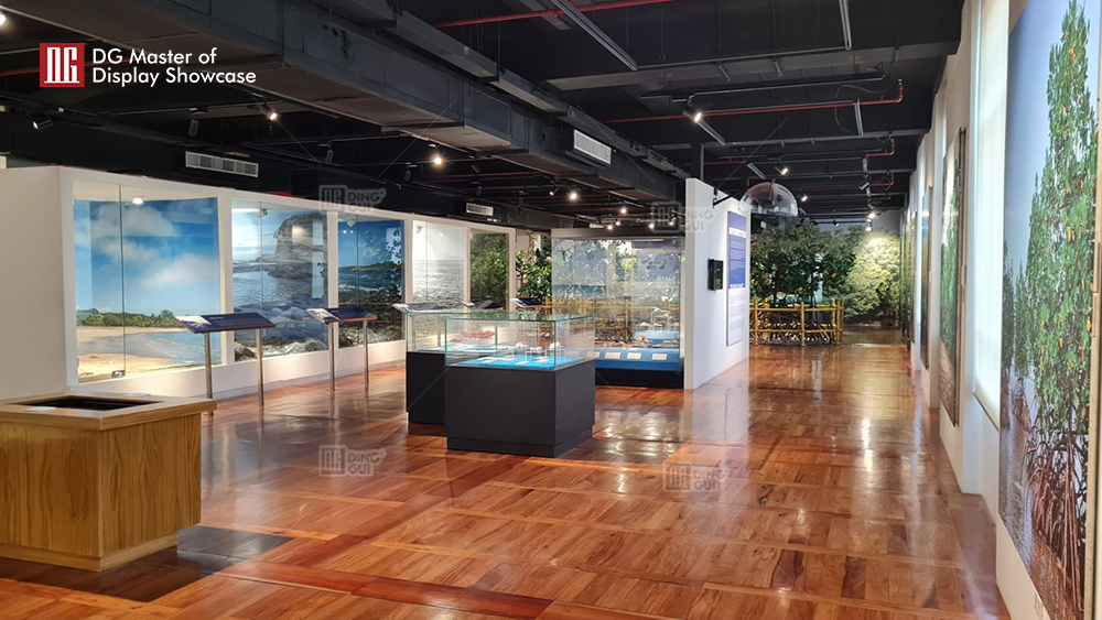 Philippine Museum of Natural History showcase project 14