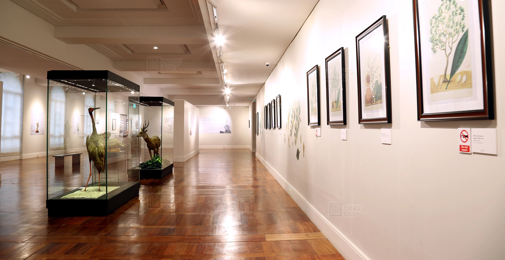 Museo ng Likas na Kasaysayan ng Pilipinas 2