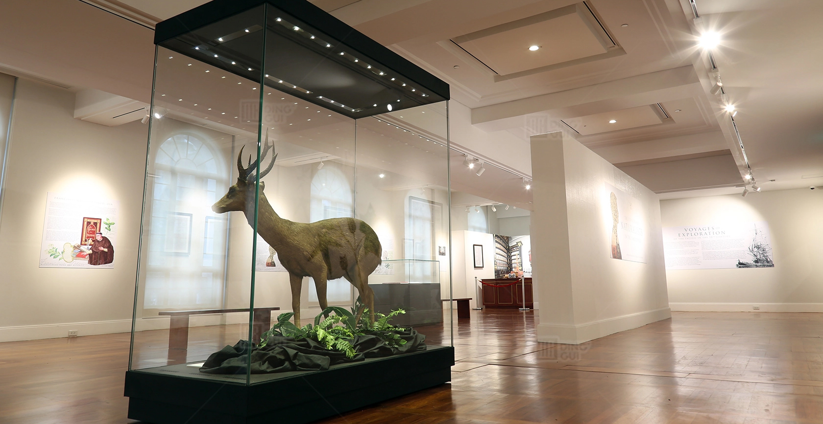 Museo ng Likas na Kasaysayan ng Pilipinas 1