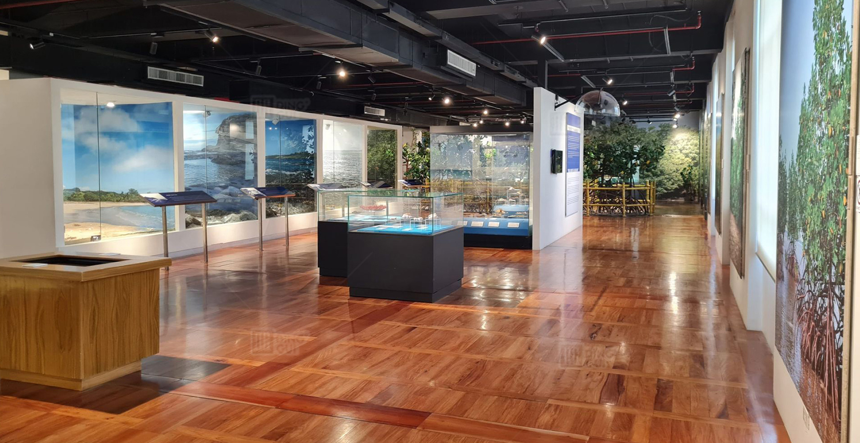 Museo ng Likas na Kasaysayan ng Pilipinas 3