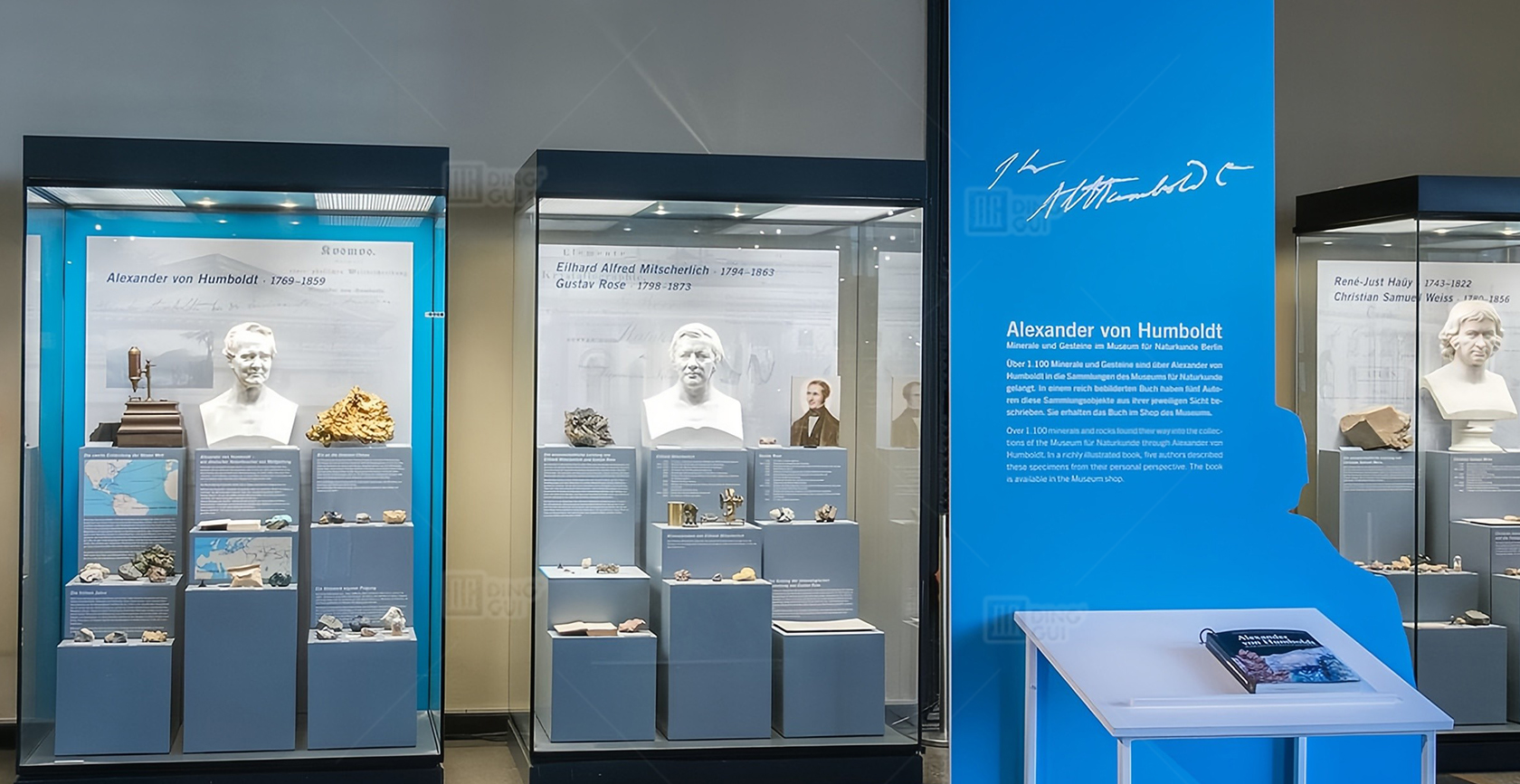 Museum für Naturkunde of Berlin 4