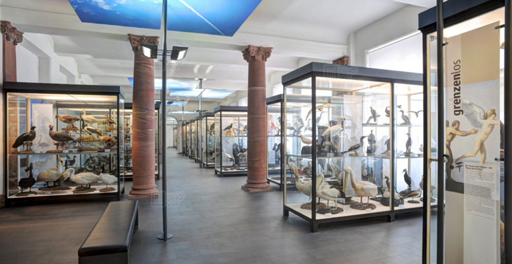 Senckenberg Naturmuseum Frankfurt 2