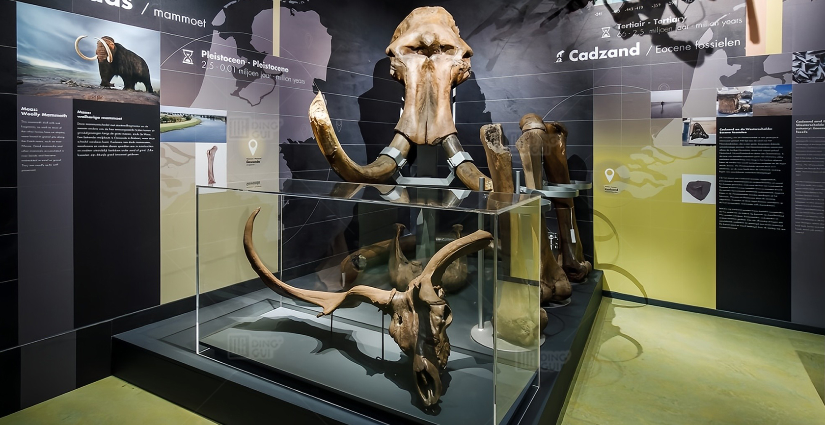 Wereldmuseum Rotterdam 3