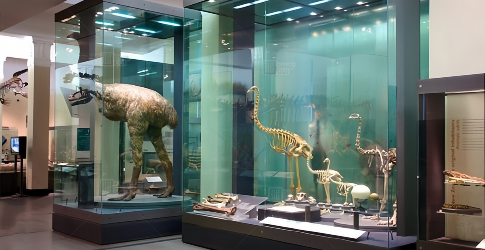 Auckland War Memorial Museum 4