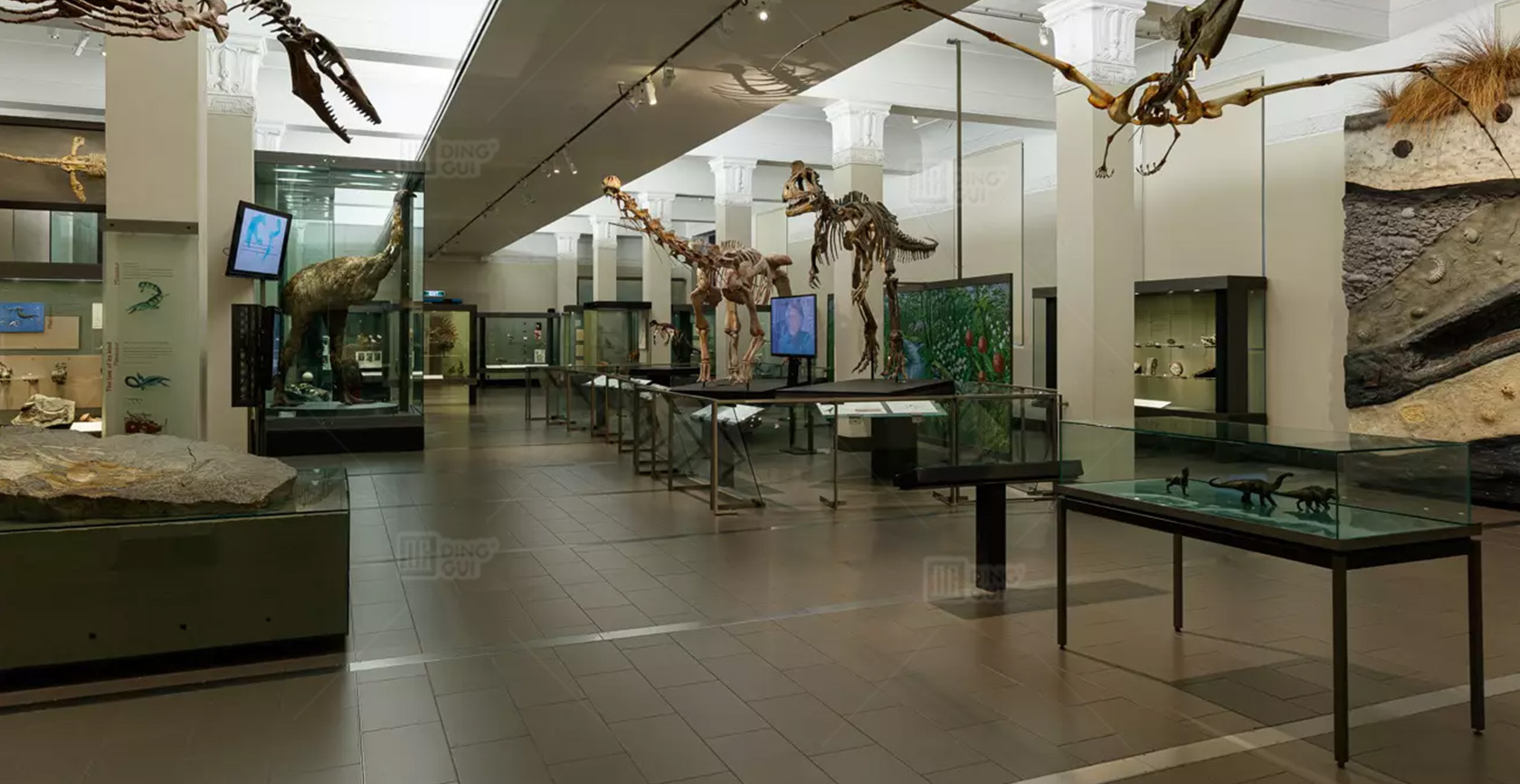 Auckland War Memorial Museum 5