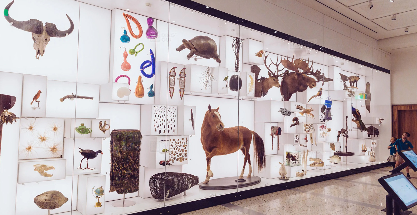 Auckland War Memorial Museum 2