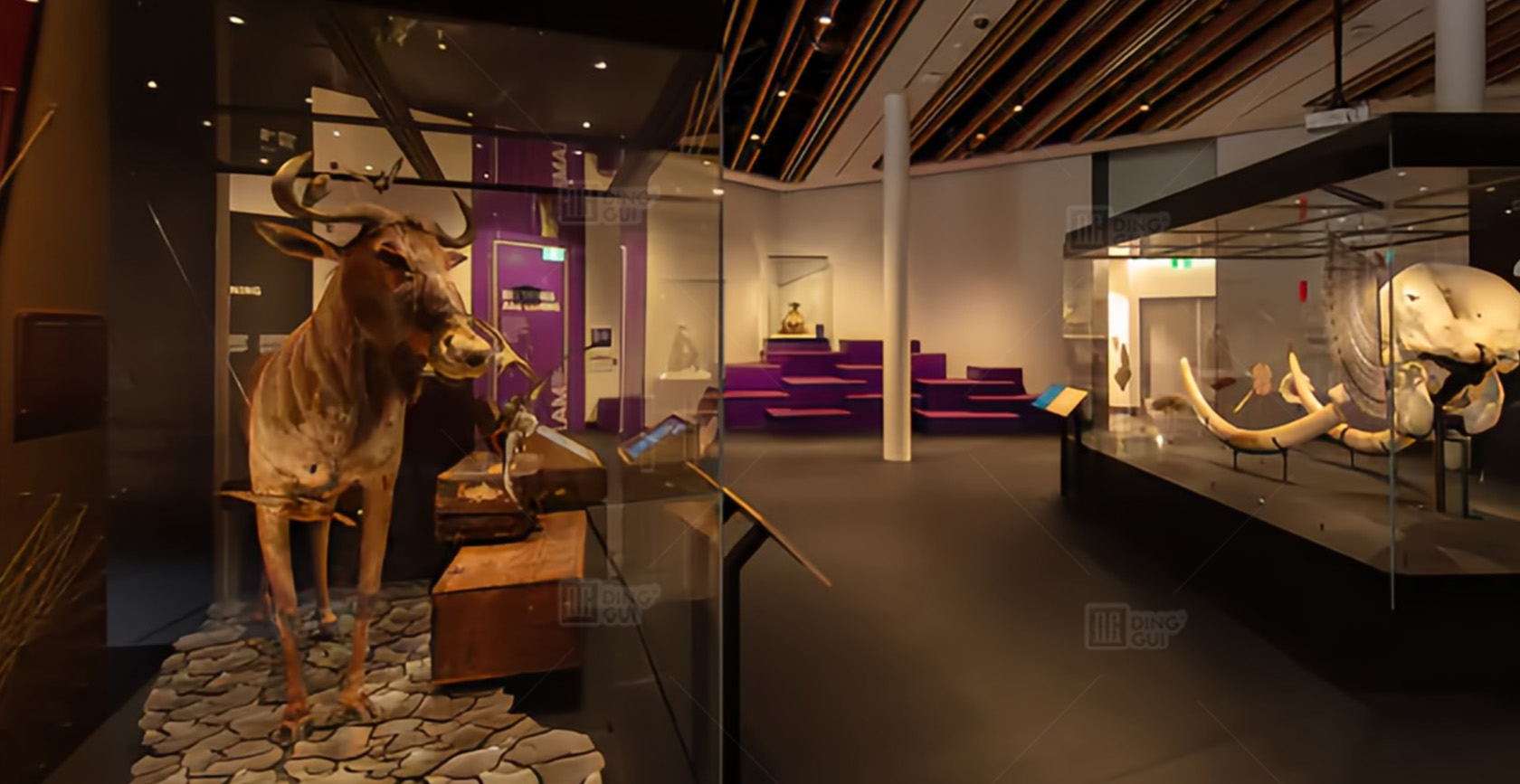 Auckland War Memorial Museum 6