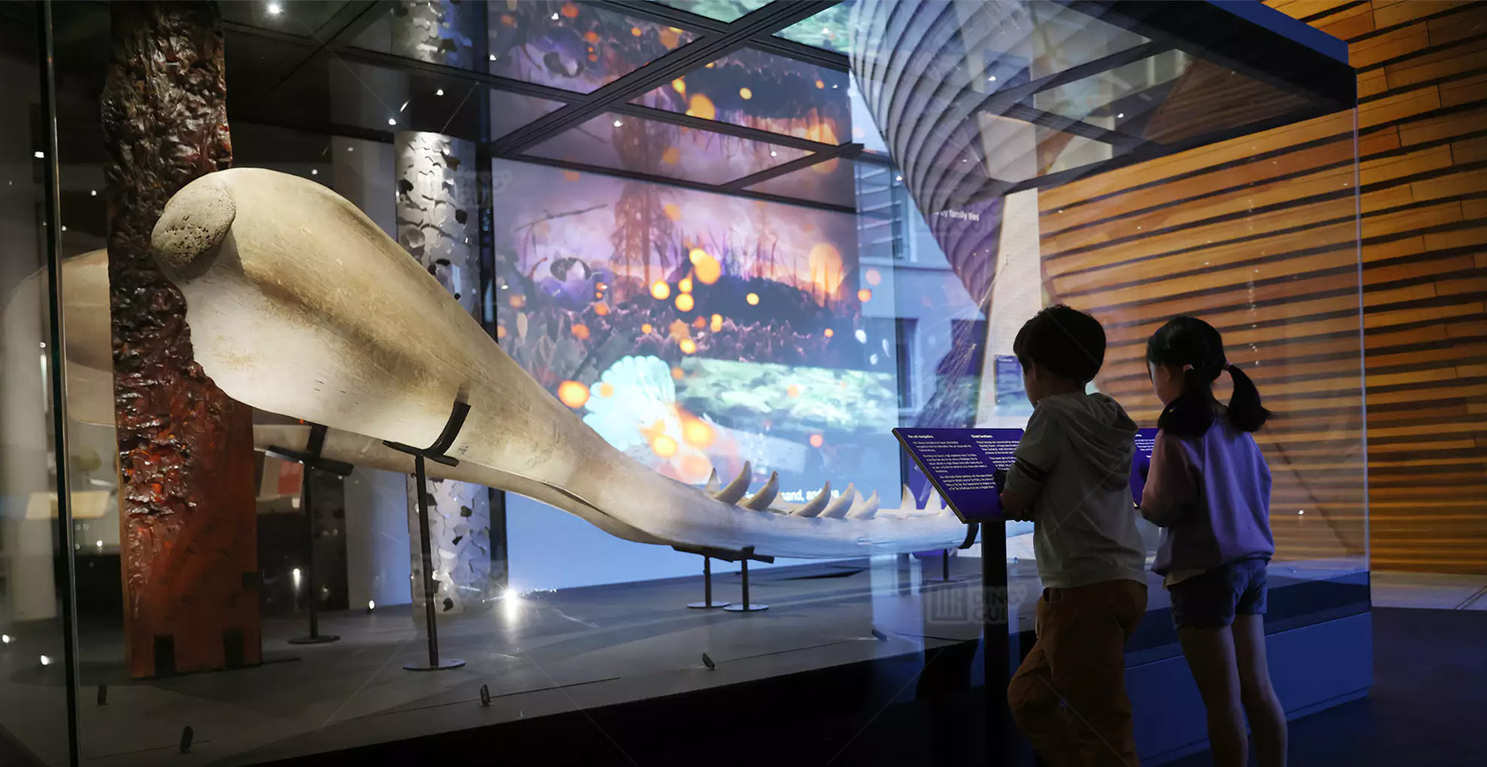 Auckland War Memorial Museum 3