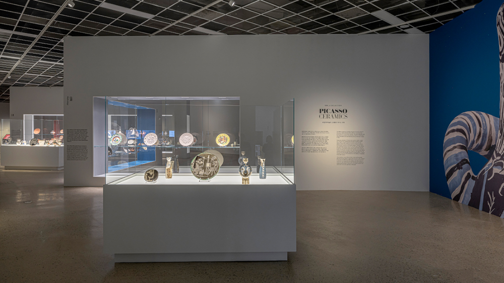 Museum Display Showcase Styles and Aesthetics 2