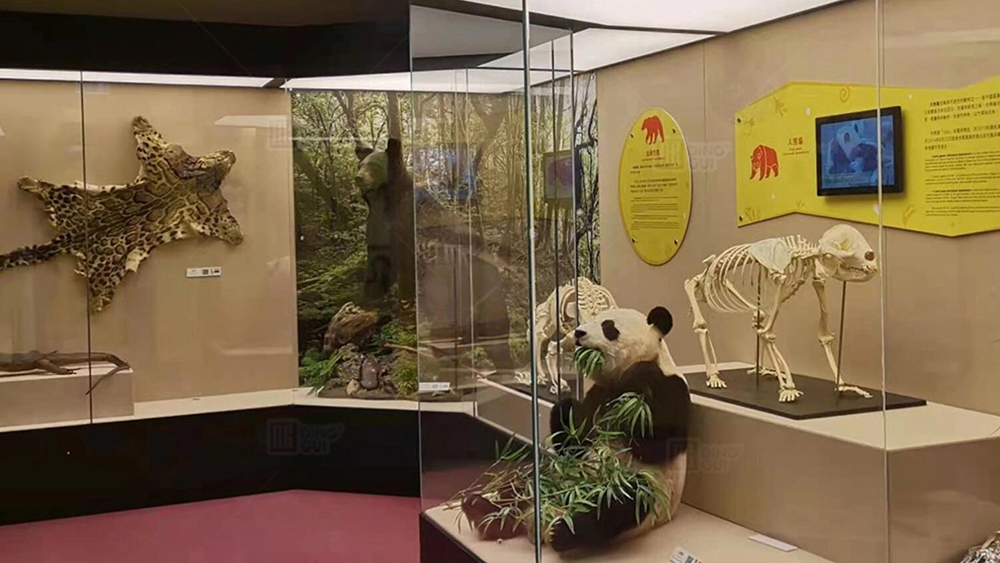 Illuminate the brand, designed and manufactured by DG Display Showcase. 3