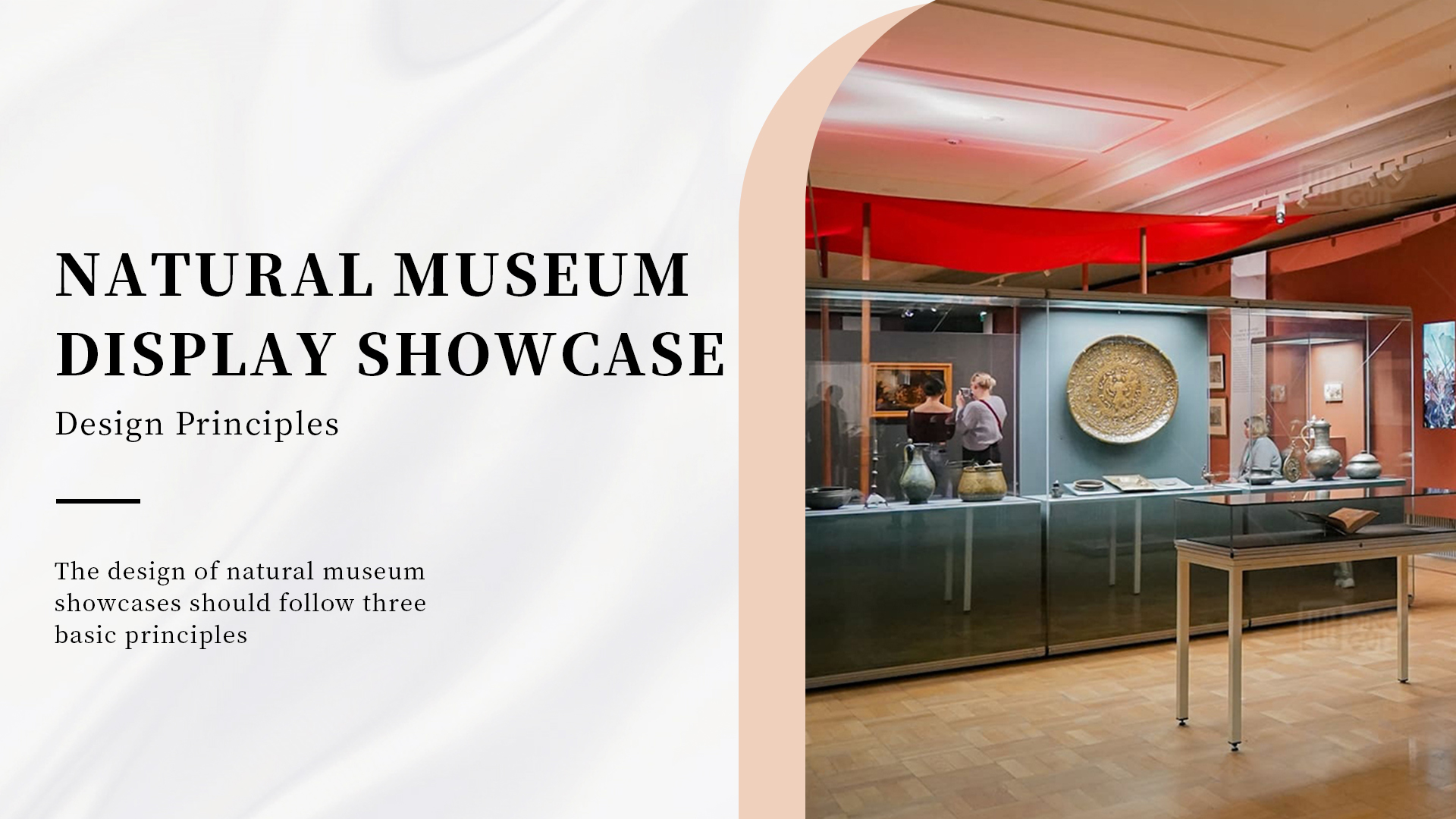 Təbiət tarixi muzeyinin vitrin dizayn prinsipləri 1