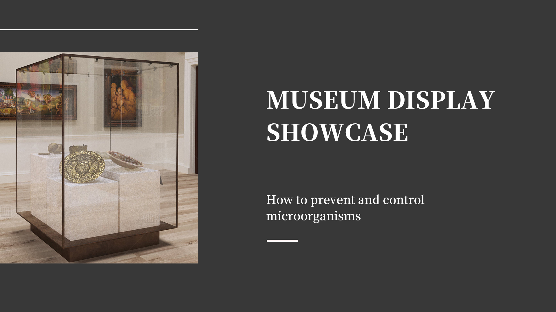 Hur man förebygger och kontrollerar mikroorganismer i museimontrar 1