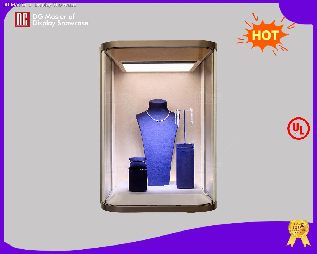 DG Display Showcase | Professional black wall display case factory 1