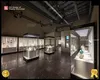 worldwide closure museum showcase for museum | DG Display Showcase 1