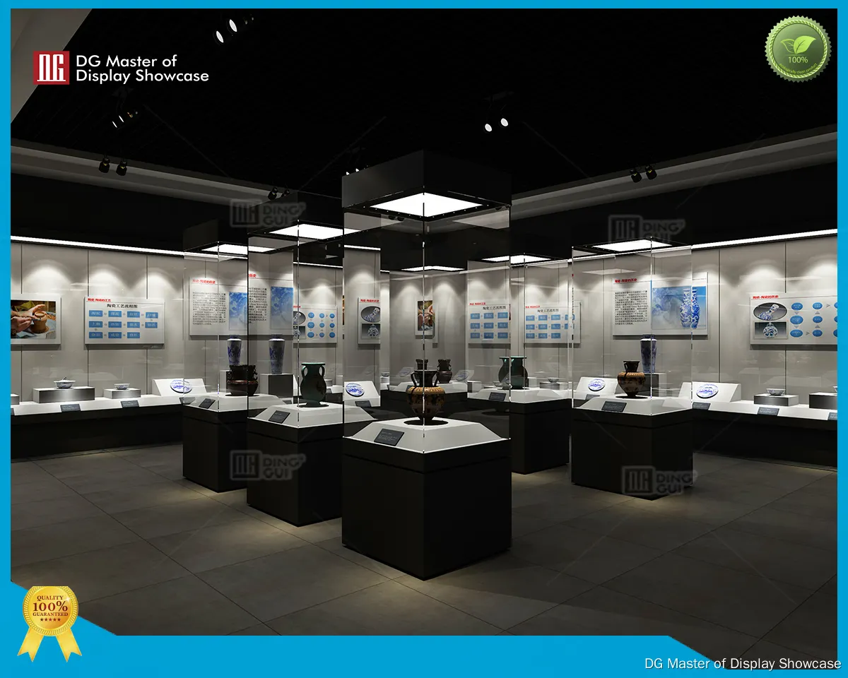 Custom Museum showcase factory with custom services Manufacturer | DG Display Showcase 1