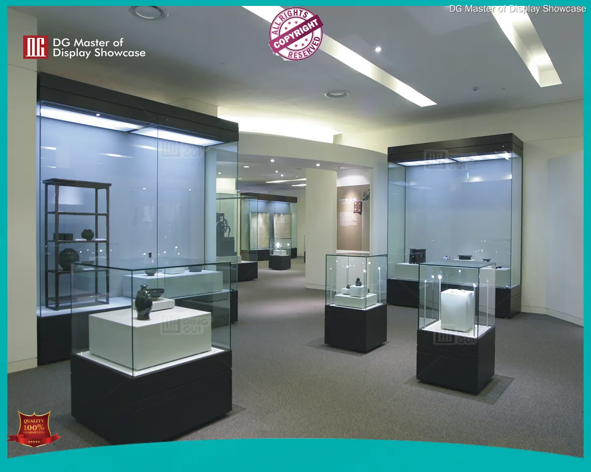 best price custom museum shwocase dispaly top brand | DG Display Showcase 1