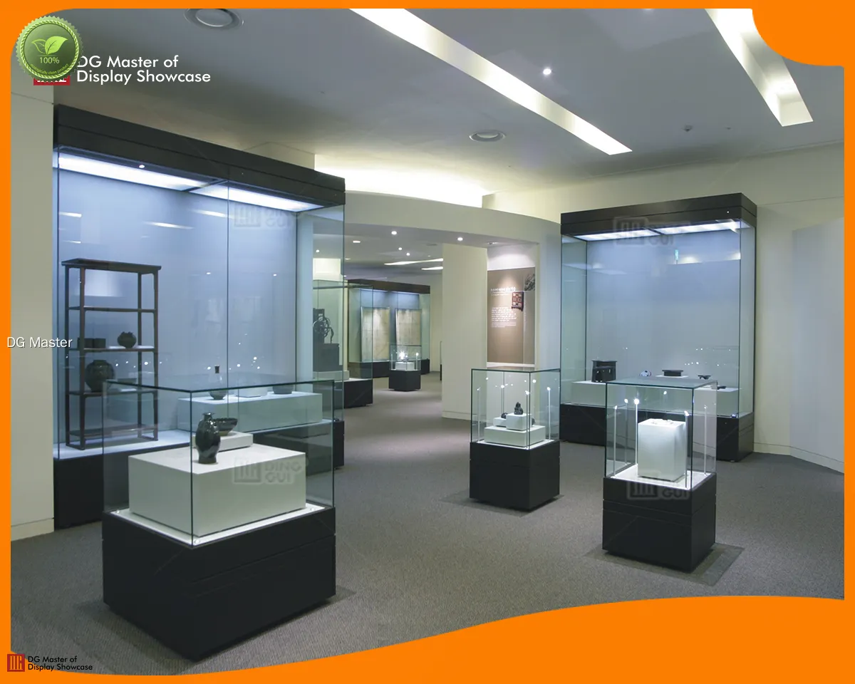 DG Master | best price wall mounted museum display case top brand 1