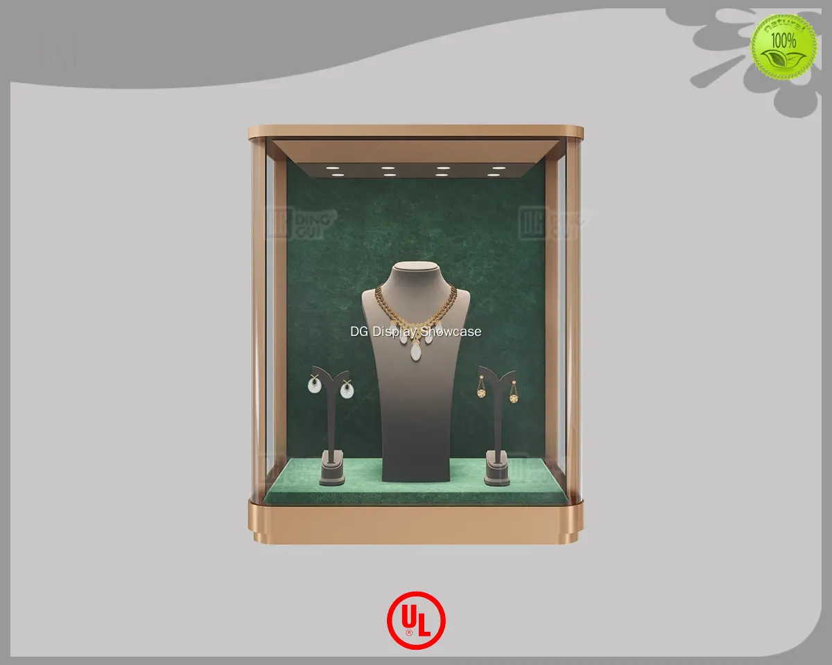 Bepoke black tall display cabinet factory | DG Display Showcase 1