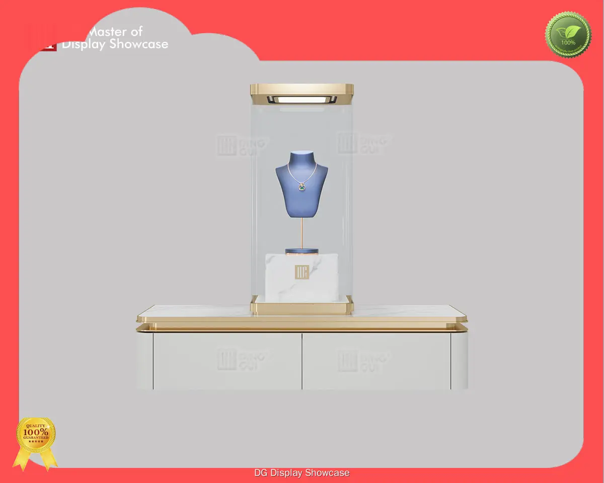 DG Display Showcase | brand Single product showcase top brand1 1