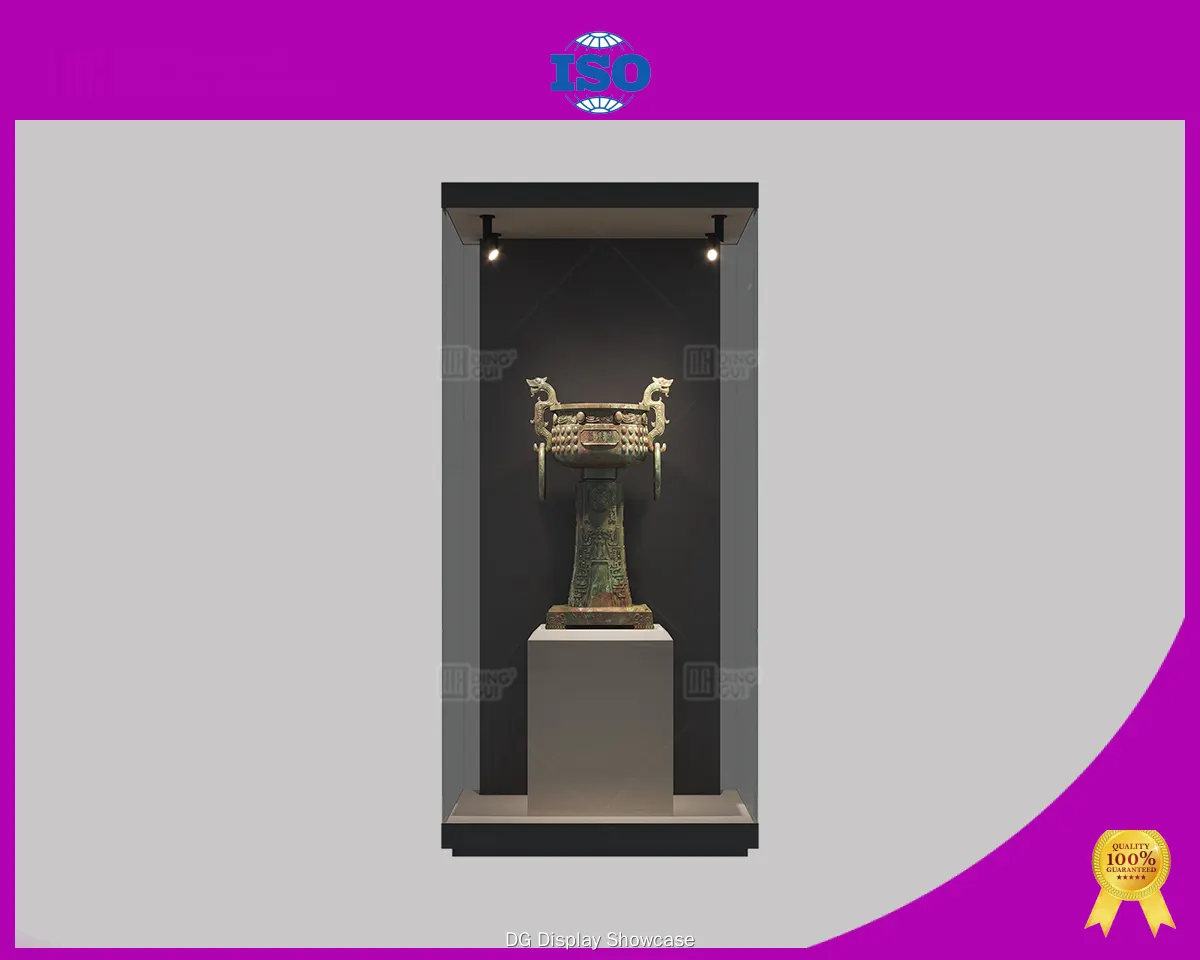 DG Display Showcase | best price Science Museum Showcase supplier 1