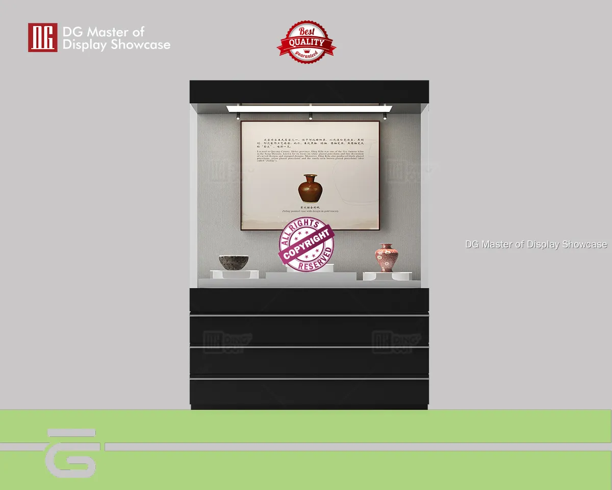 best price Museum Glass Display Cases manufacturer | DG Display Showcase 1