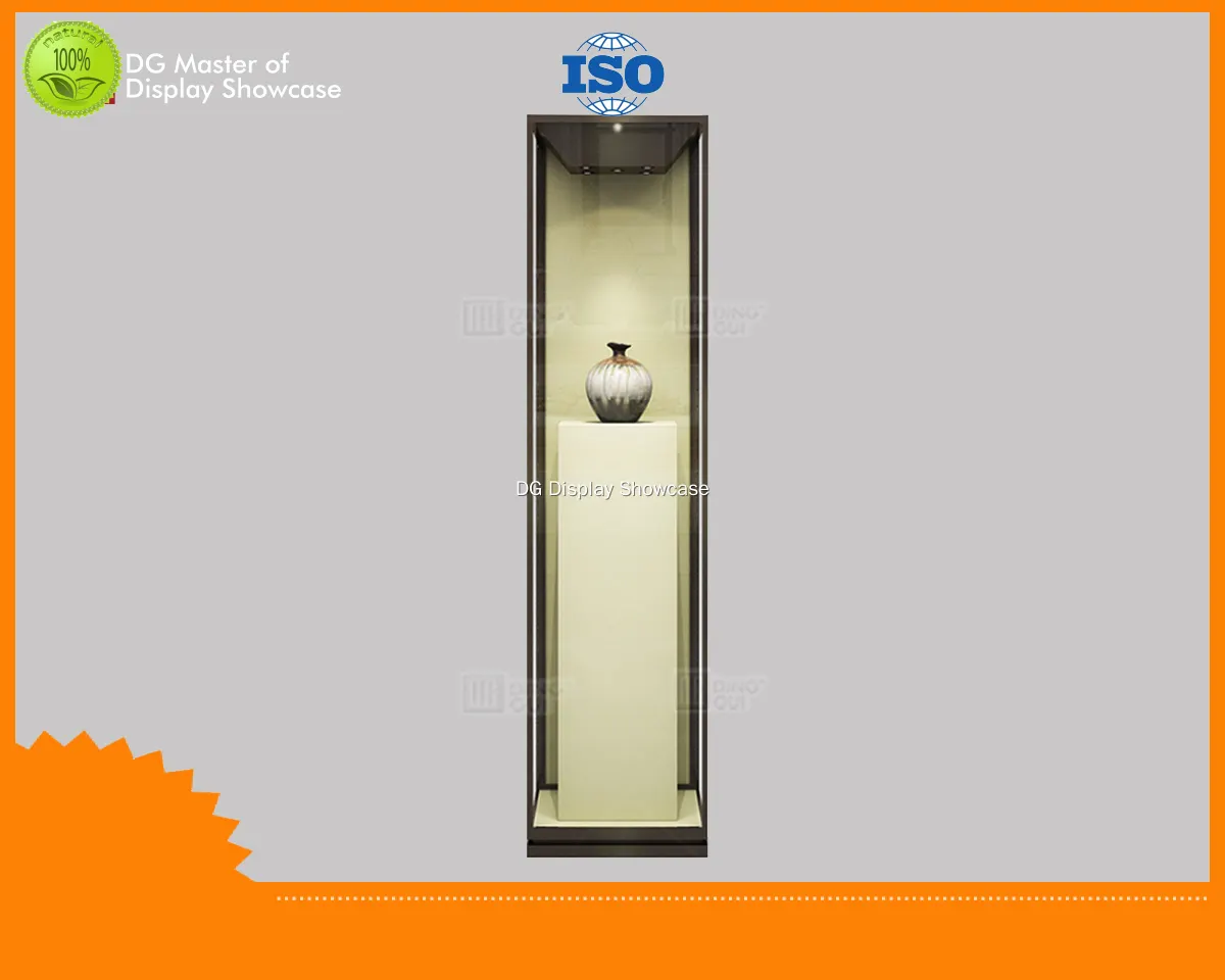 professional design historical relic museum showcase supplier | DG Display Showcase 1