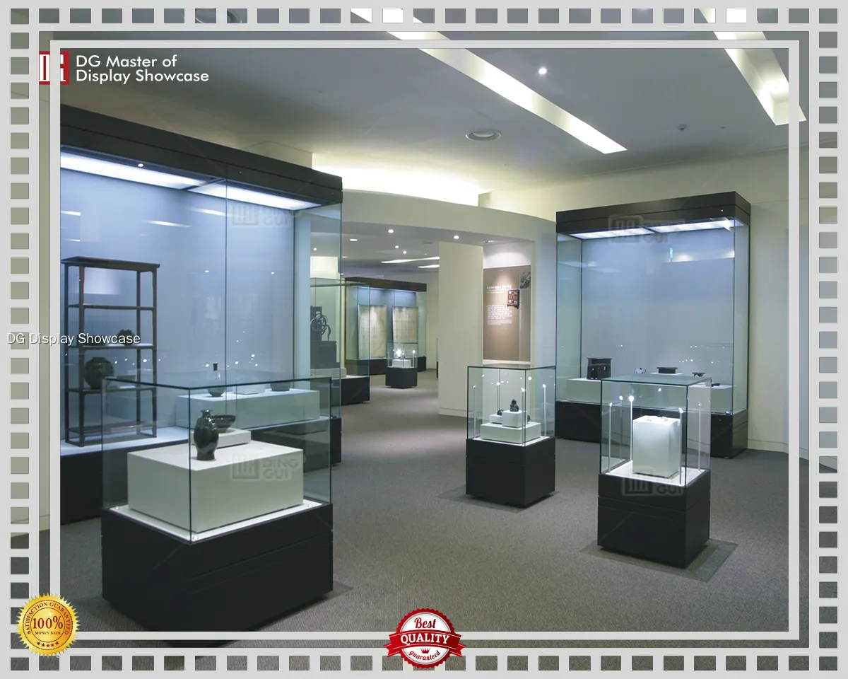 DG Display Showcase | professional design scifi museum showcase supplier 1