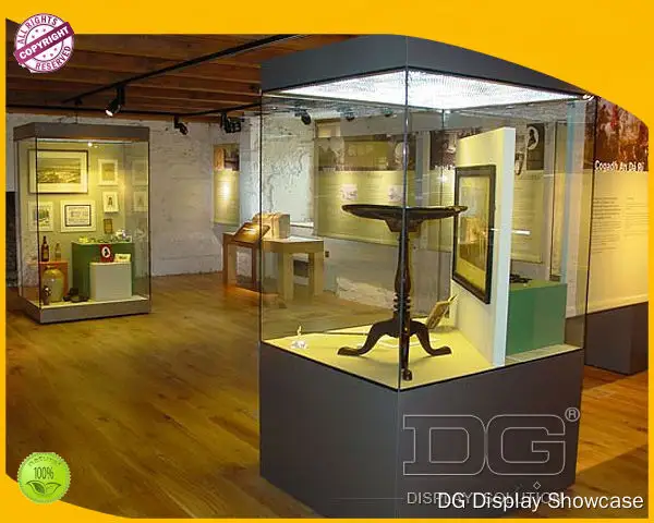 Custom museum display cases solution supplier Manufacturer | DG Display Showcase1 1