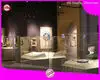 DG Display Showcase | custom museum showcase for sale wholesale 1