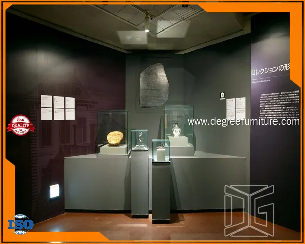 DG Display Showcase | top history museum showcase supplier 1