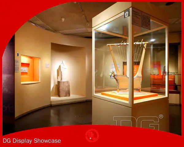 professional design museum of natural history showcase supplier | DG Display Showcase 1