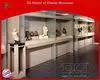 custom Full vision museum showcases supplier | DG Display Showcase 1