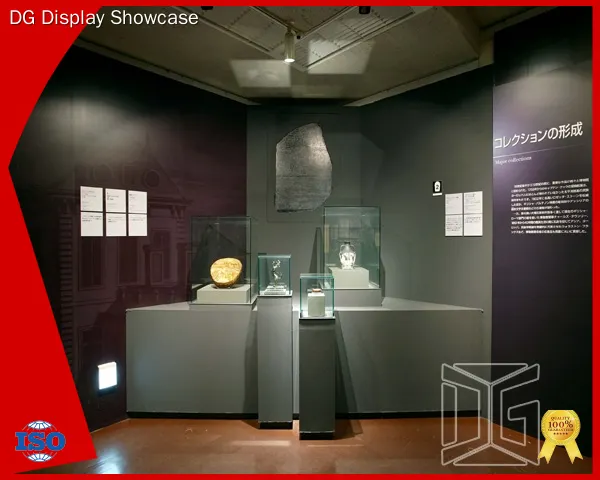 worldwide museum showcases manufacturer | DG Display Showcase 1