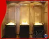 DG Display Showcase | top glass museum display cases manufacturer 1