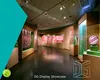 museum exhibit design at Wholesale Prices | DG Display Showcase 1