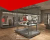 professional design museum display standards manufacturer | DG Display Showcase 1