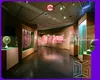Museum showcase suppliers at Wholesale Prices | DG Display Showcase 1