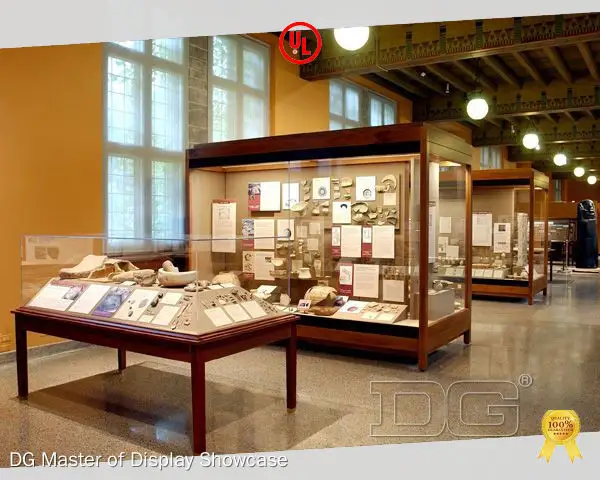 Custom Museum showcase suppliers for museum Manufacturer | DG Display Showcase 1