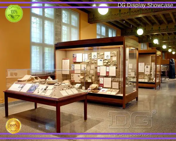 Custom wall mounted museum display case top brand Manufacturer | DG Display Showcase 1