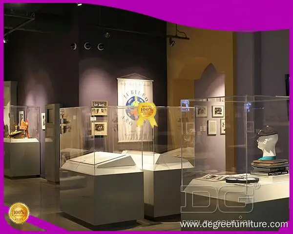 Custom museum table display cases for museum Manufacturer | DG Display Showcase 1