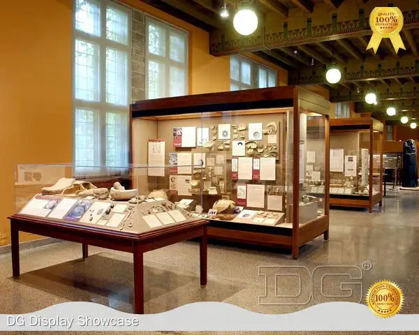 custom art gallery display cases for museum | DG Display Showcase 1