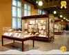 custom art gallery display cases for museum | DG Display Showcase 1