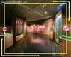Custom art gallery display cases with custom services Manufacturer | DG Display Showcase 1