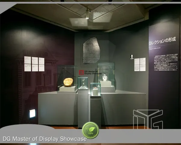 DG Display Showcase | custom art display cases top brand 1